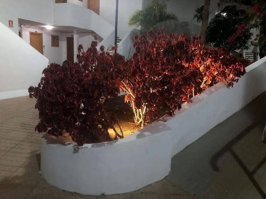 Apartamento Con Vistamar Y Piscina Climatizada En Garden City Playa Fanabe 0*,