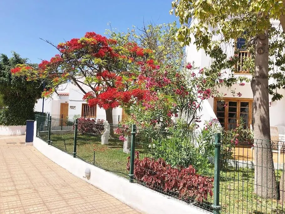 Apartment Apartamento Con Vistamar Y Piscina Climatizada En Garden City Playa Fanabe