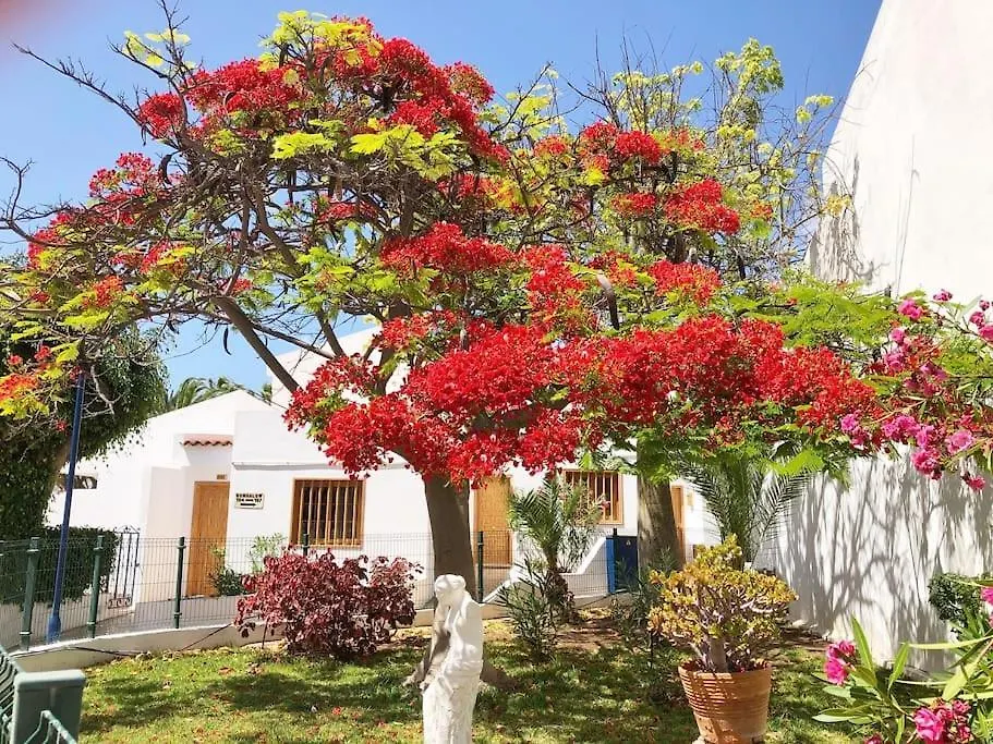 Apartamento Con Vistamar Y Piscina Climatizada En Garden City Playa Fanabe 0*,  Spain