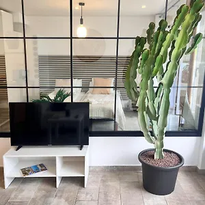 Cactus Apartment